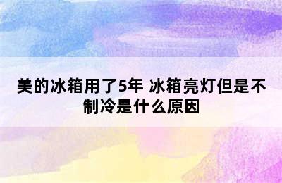 美的冰箱用了5年 冰箱亮灯但是不制冷是什么原因